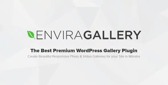 Envira Gallery (+Addons) – Best Responsive WordPress Gallery Plugin